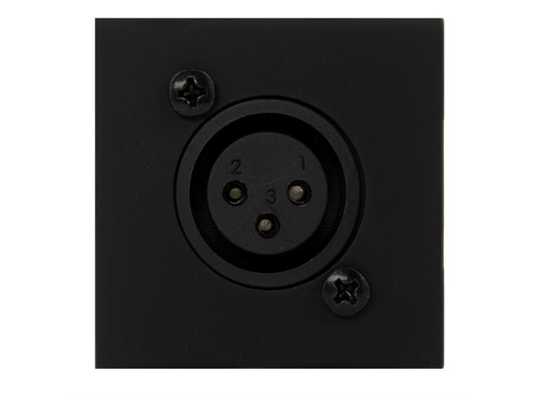 Audac CP 45 XLFB - On-wall Connection Plate with XLR female